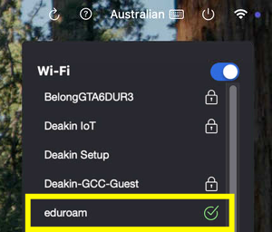 jamf-connect-wifi-widget.png