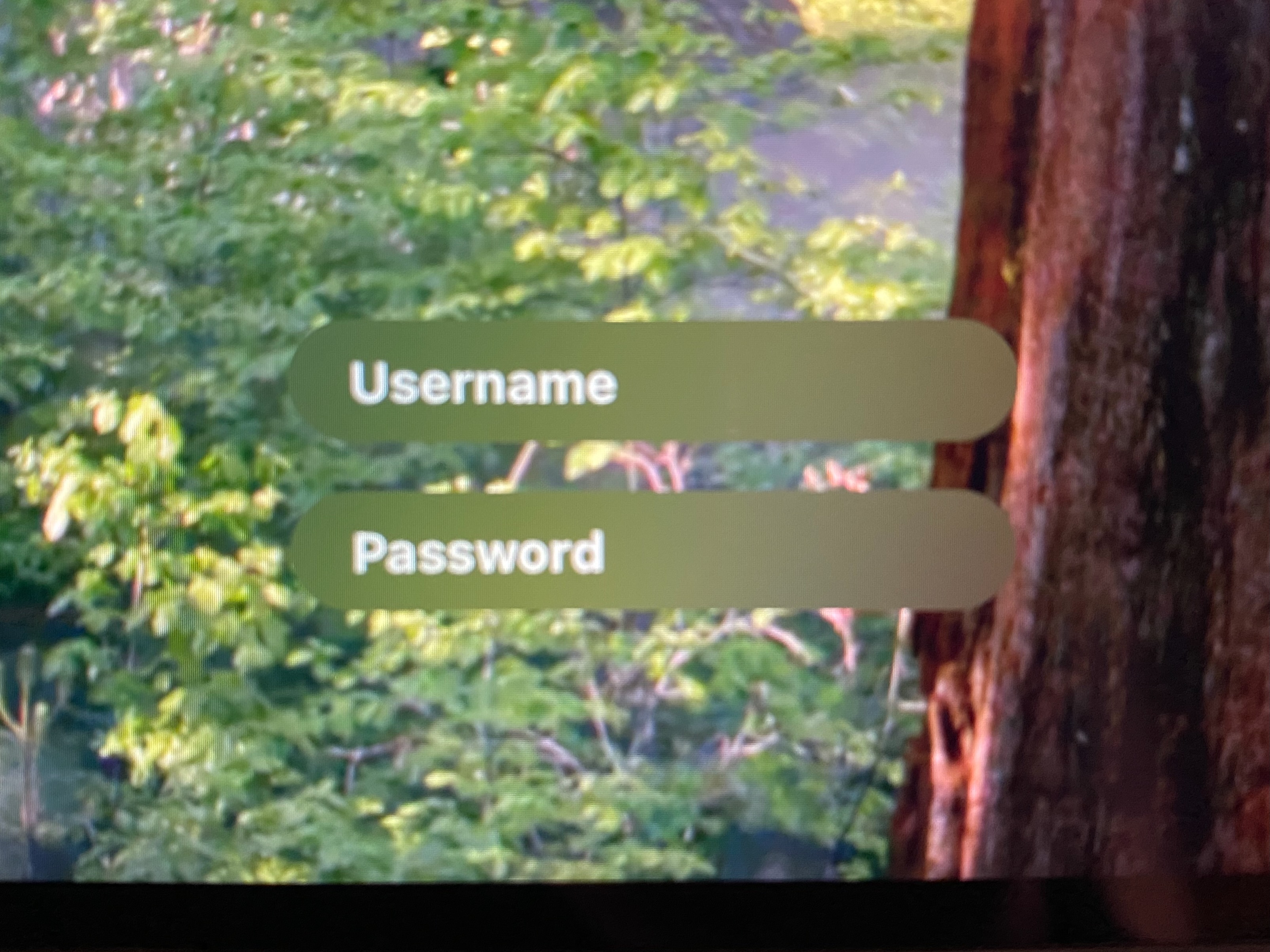 jamf-connect-local-login-01.jpeg