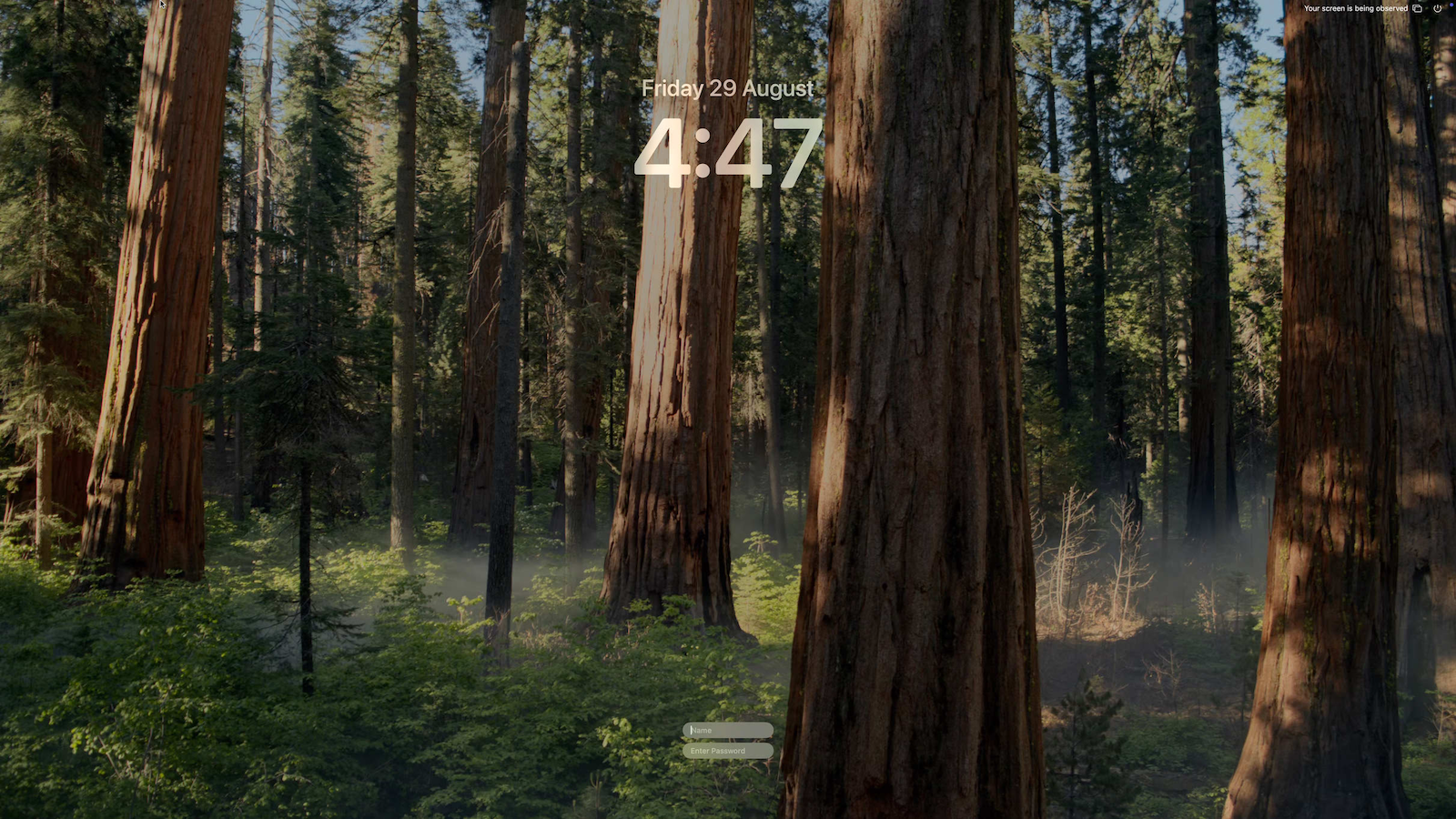 Screen Sharing Picture 29 August 2025 at 4.47.50 pm AEST.png